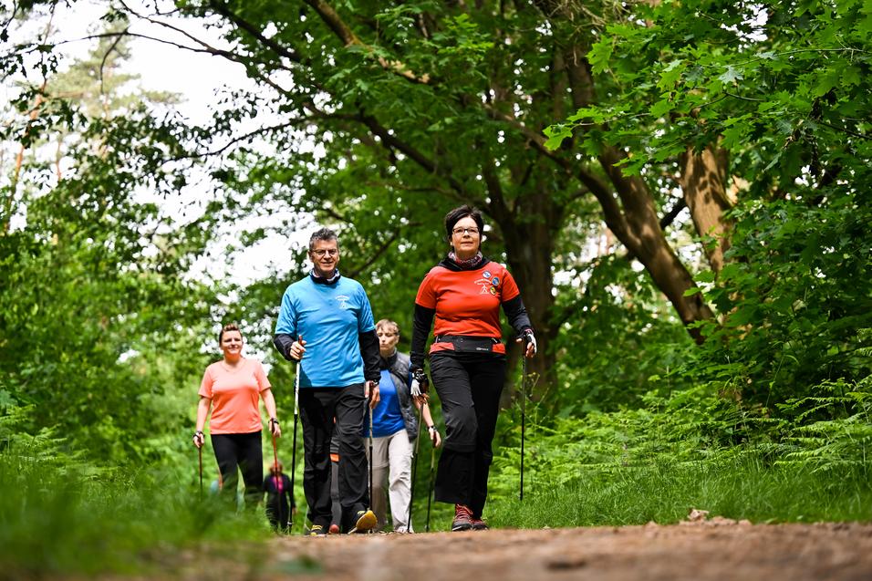 Gruppe von vier Personen wandert mit Nordic-Walking-Stöcken auf einem Waldweg umgeben von Bäumen und grünem Laub.